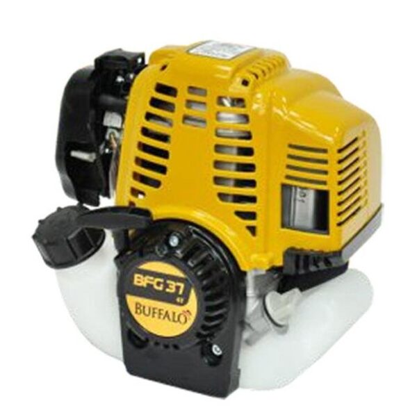MOTOR BFG 4T  1.4CV REF - 60205 - Image 2