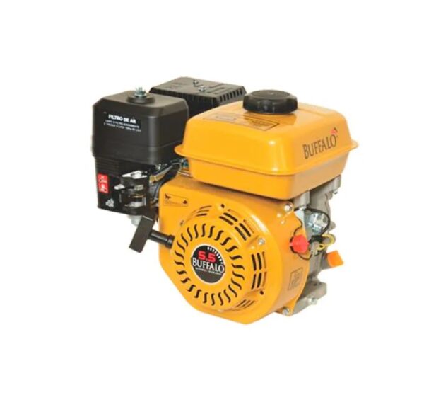 MOTOR BFG 5.5CV PART. MANUAL REF - 60503