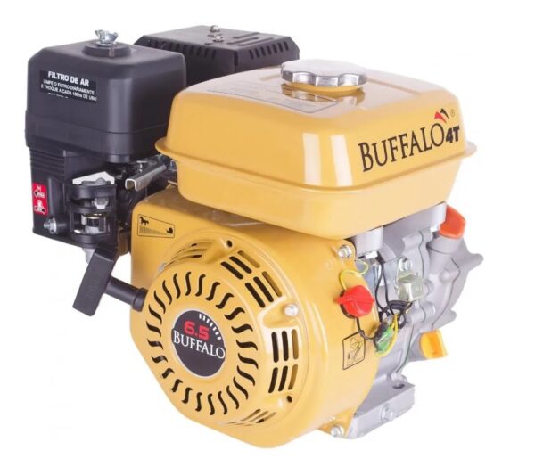 MOTOR BFG 6.5 CV PART. MANUAL REF - 60600
