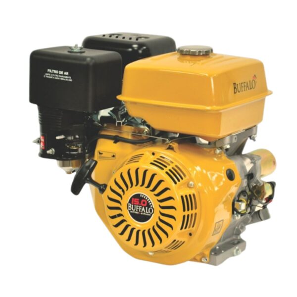 MOTOR BFG 4T 15.0CV COM PARTIDA MANUAL - 61500