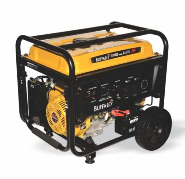 MOTOGERADOR BFG 6500 PLUS MONOF.  PART. MANUAL REF - 61534